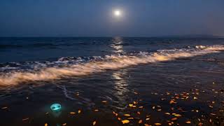 432 Hz Deep Sleep Music • Fall Asleep Fast • Wake Refreshed (4 Hours)